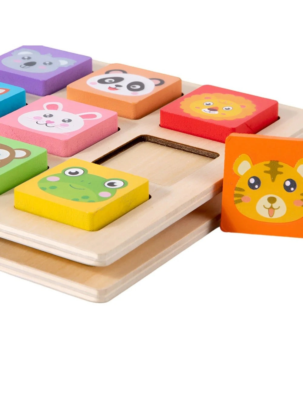 Jeu de société Animal Shape Battle