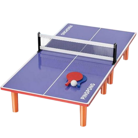 Jeu de Tennis de Table Professionnel pour Enfants