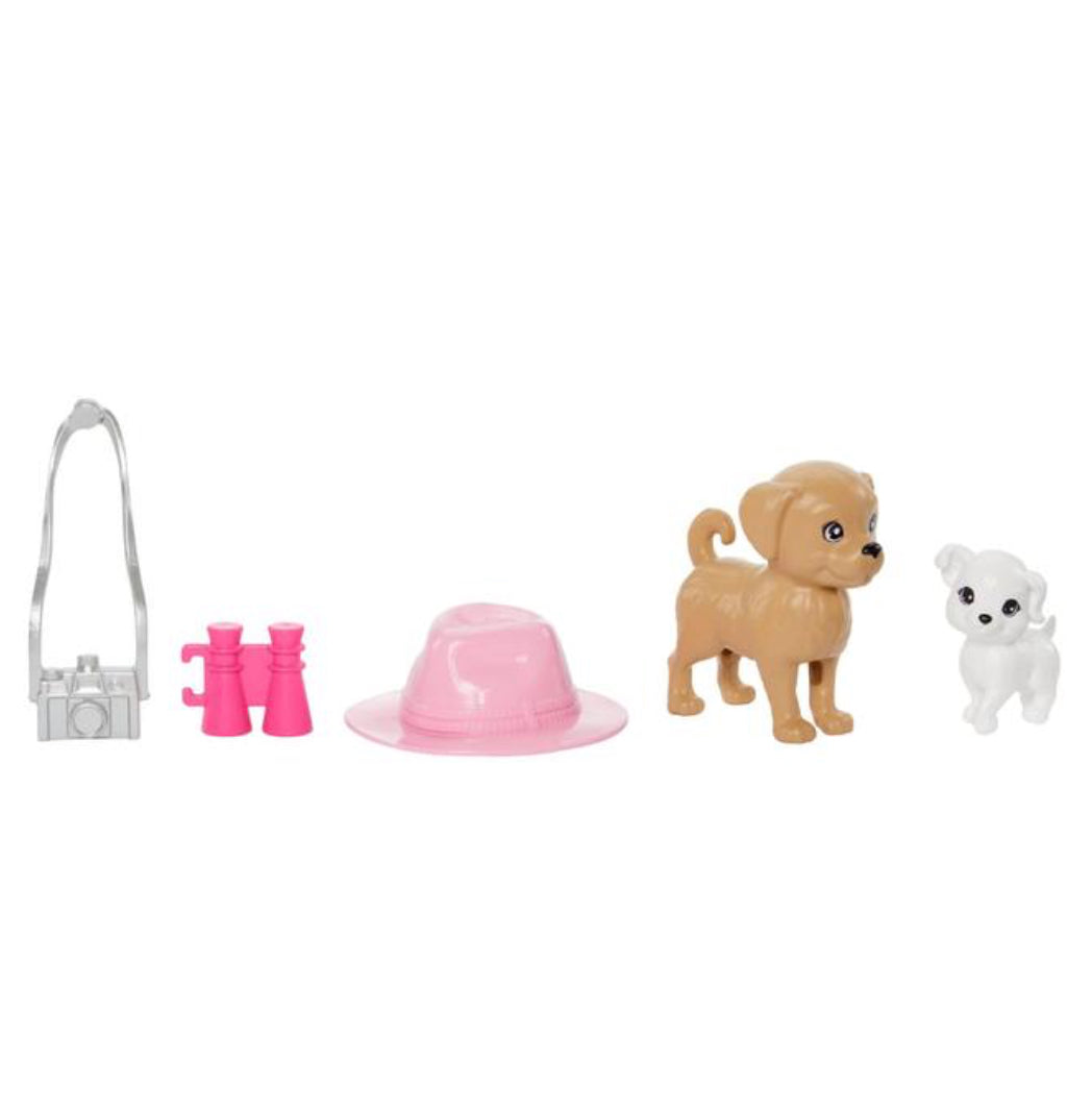 Coffret Poupées Barbie et Stacie en Exploration - Mattel
