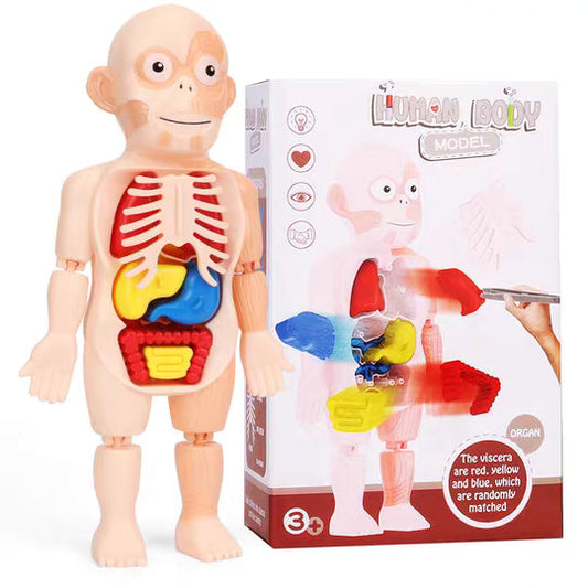 Jouets d’Assemblage Médicaux Éducatifs Pour Enfants - 14 pièces