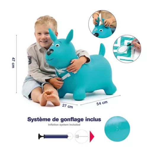 Chien Sauteur 12M+ - LUDI